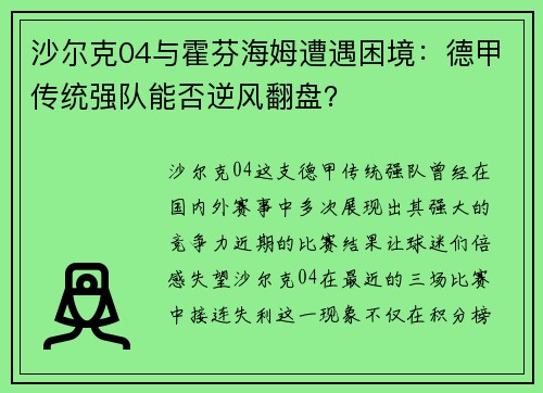 沙尔克04与霍芬海姆遭遇困境：德甲传统强队能否逆风翻盘？